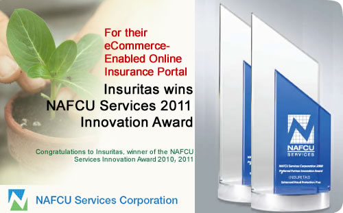 NAFCU 2011 Innovation Award Winners